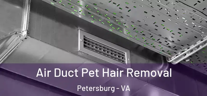 Air Duct Pet Hair Removal Petersburg - VA