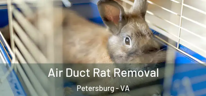 Air Duct Rat Removal Petersburg - VA