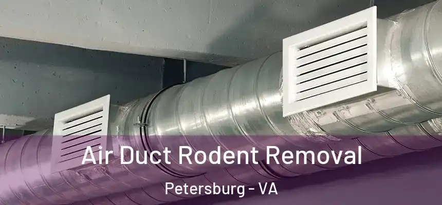  Air Duct Rodent Removal Petersburg - VA