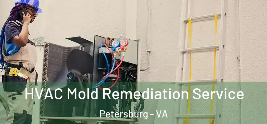 HVAC Mold Remediation Service Petersburg - VA