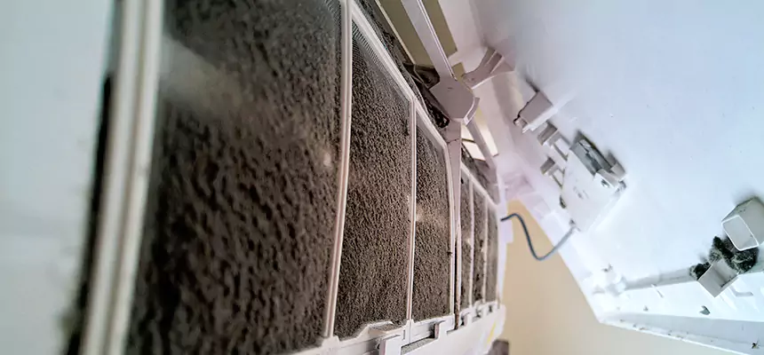 Preventive Air Duct Bacteria Removal in Petersburg