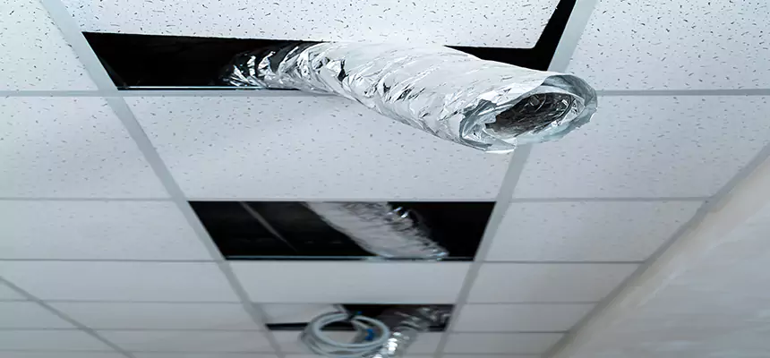 Affordable HVAC Sanitizing After Pest Removal in Petersburg