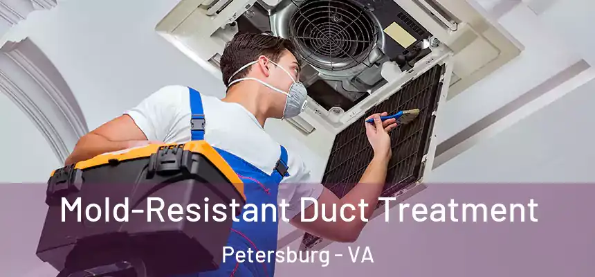  Mold-Resistant Duct Treatment Petersburg - VA