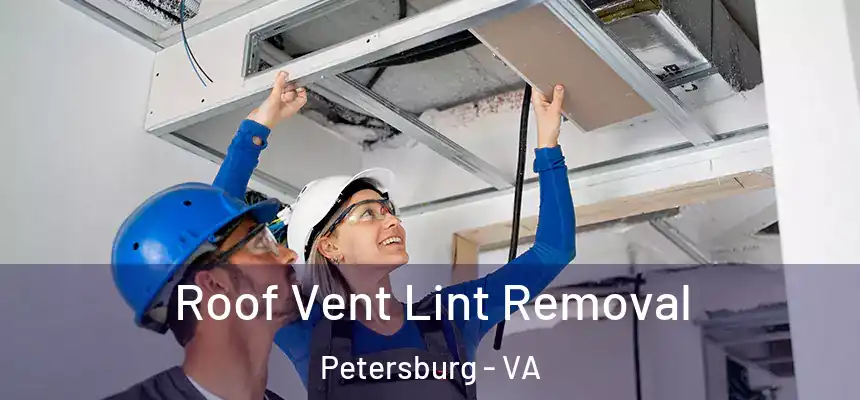  Roof Vent Lint Removal Petersburg - VA