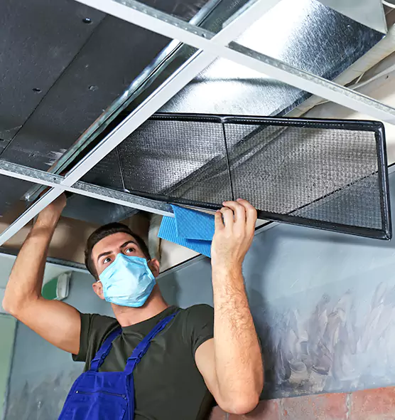 About Air Duct Bacteria Removal in Petersburg