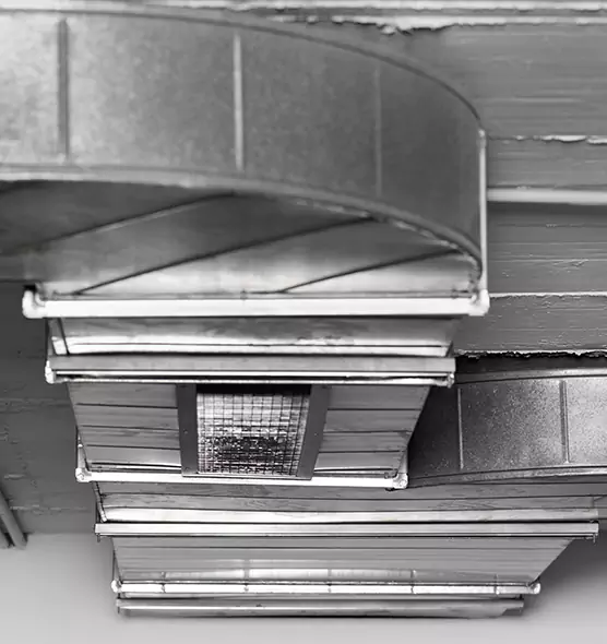 Professional Air Duct Pest Removal in Petersburg, VA