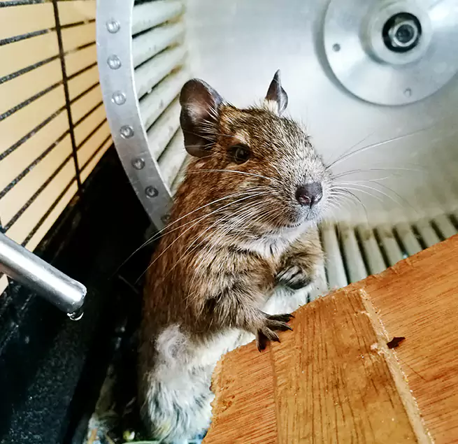 Why Homeowners & Businesses Trust Us Petersburg, VA