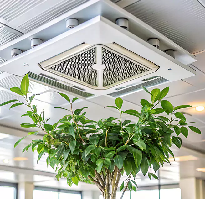 Why Homeowners & Businesses Trust Us in Petersburg, VA?