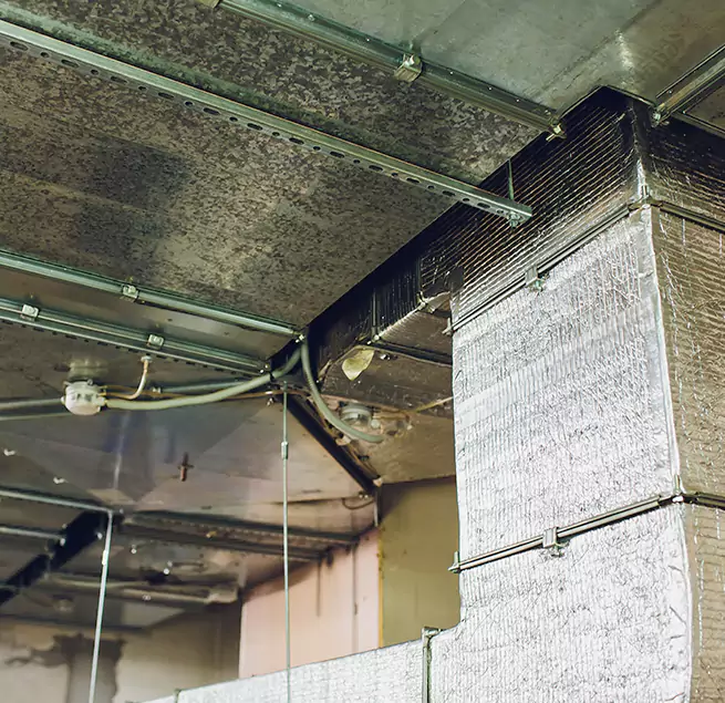 Why Homeowners & Businesses Trust Us in Petersburg, VA?